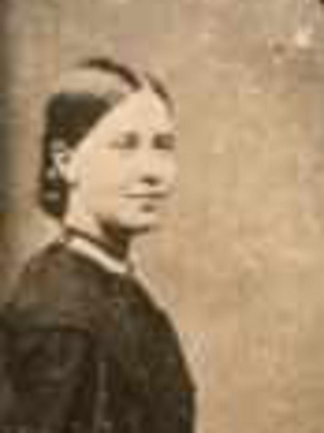 Susan Airmet (1843 - 1924) Profile